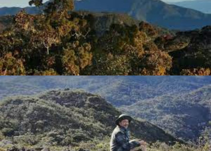 Tau Gak Sih? Inilah Fakta Menarik dari Mitos yang Sering di Dengar di Gunung Leuser 