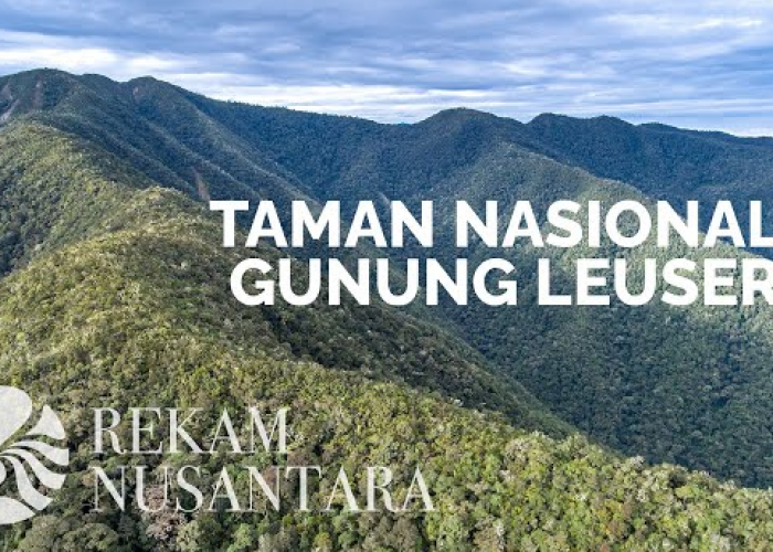 Eksplorasi Keindahan Puncak Sumatera, 7 Gunung Tertinggi yang Jadi Favorit Para Pendaki!