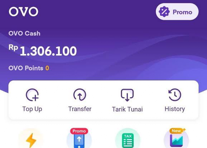 Bisa Cuan Rp1.000.000 dalam Seminggu dari Game Penghasil Saldo OVO? Ayo Coba!