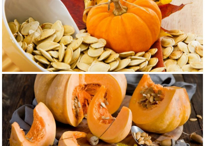 Jangan Remehkan Biji Labu! Ini Kandungan Gizi dan Khasiatnya bagi Tubuh