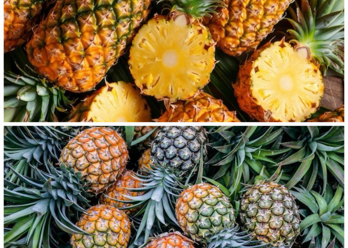 Manfaat Buah Nanas untuk Kesehatan, Ampuh Dukung Program Diet dan Tingkatkan Imunitas