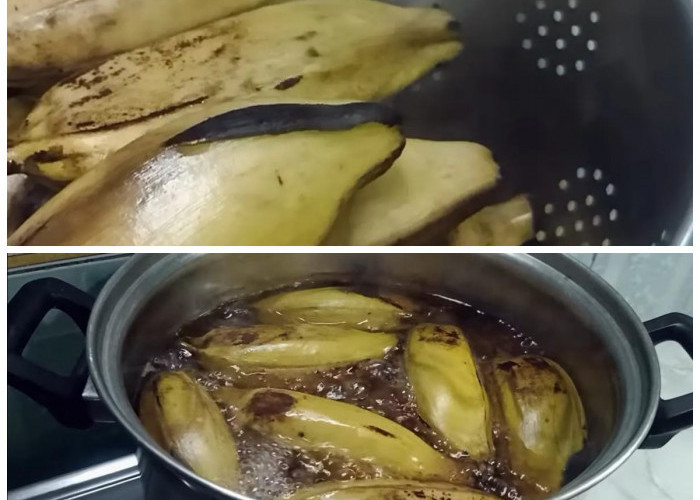 Cara Memasak Pisang Kepok Agar Tetap Utuh, Lezat, dan Bergizi