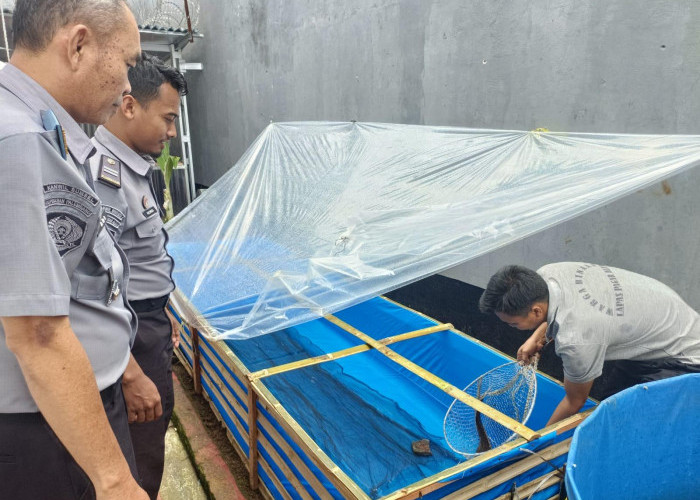 Usai Panen Raya Ikan, Kembali Tebar Bibit Lele Dukung Kemandirian Warga Binaan