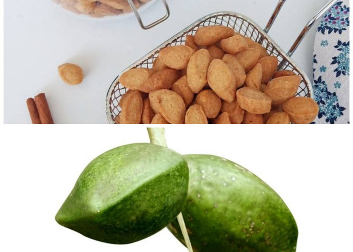 Biji Ketapang dan Manfaatnya bagi Tubuh, Si Kecil Bernutrisi Tinggi yang Mulai Terlupakan