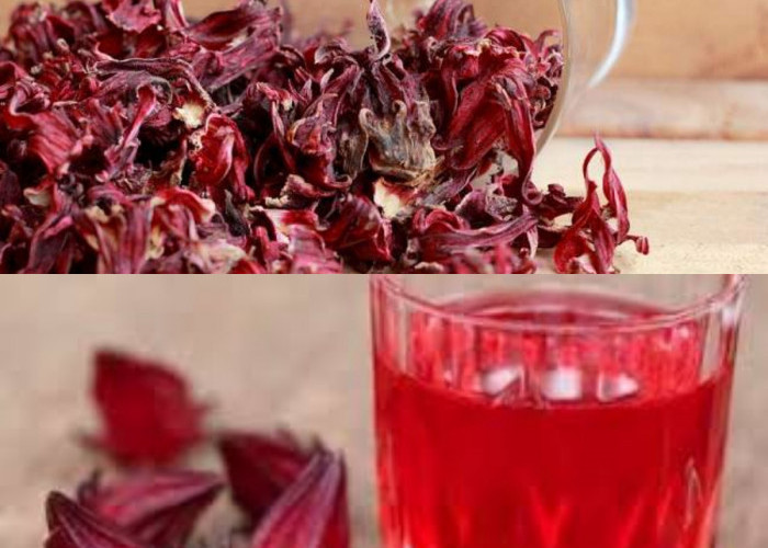  Jangan Lewatkan Manfaat Bunga Rosella untuk Kesehatan yang Jarang Diketahui!  