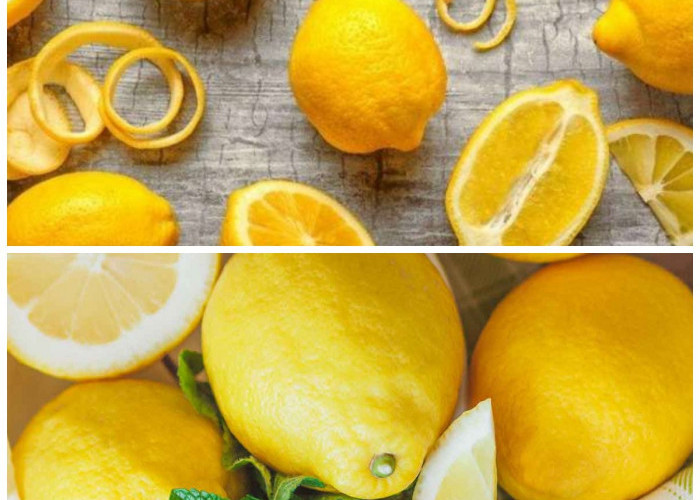 Bantu Lancarkan Pencernaan! Inilah Manfaat Lainnya dari Mengkonsumsi Buah Lemon 