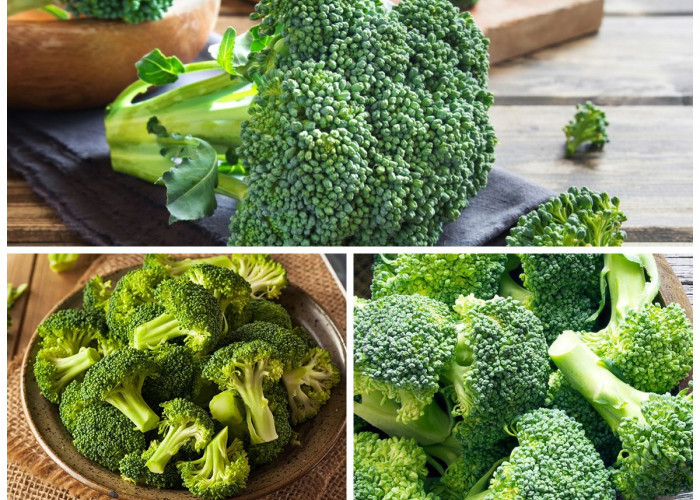 Ternyatah! Bukan Sayur Biasa, Ini 8 Manfaat Hebat Brokoli Hijau bagi Tubuh!
