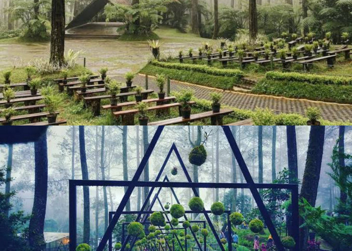 Bosan ke Lembang? Ini 3 Rekomendasi Wisata Alam Jawa Barat yang Sejuk dan Cocok untuk Tempat Healing