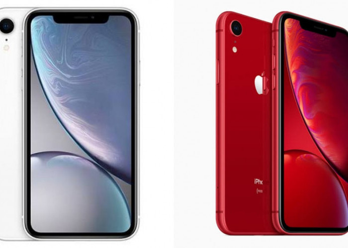 Masih Banyak Dijual Murah, Apakah iPhone XR Masih Layak Dipakai Sekarang? Ini Kenyataan Pahitnya!