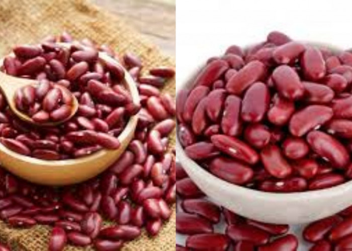  Wajib Tahu, Inilah Manfaat Kacang Merah untuk Diet!