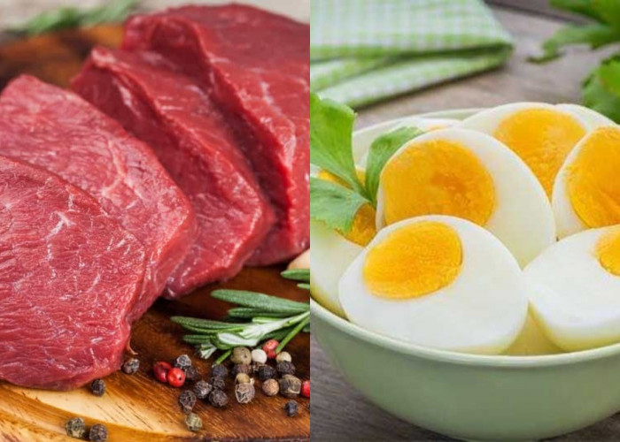 Beragam Makanan Penambah Darah Yang Wajib Kalian Cicipi! 