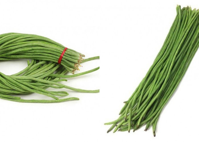 Menurunkan Tekanan Darah Inilah Manfaat Dari Kacang Panjang Untuk Kesehatan! 