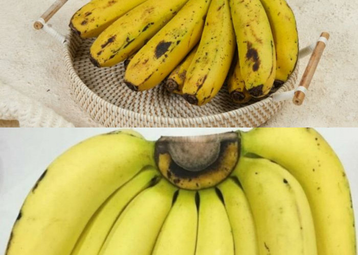 Inilah Manfaat uPisang Ambon Untuk Tubuh yang Sehat!