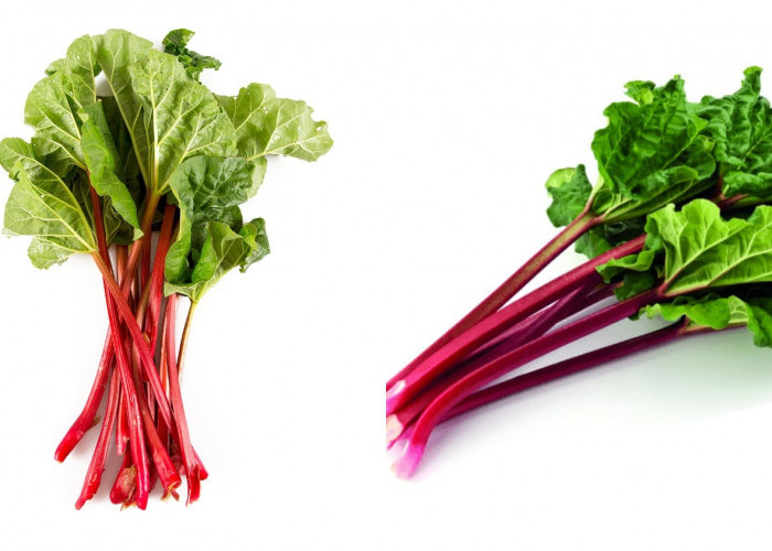 Meningkatkan Kesehatan Hati Inilah Manfaat Dari Rhubarb Yang Luar Biasa! 
