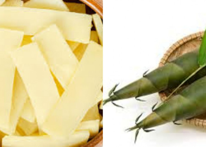 Rebung, Bahan Alami dengan Banyak Manfaat untuk Kesehatan!