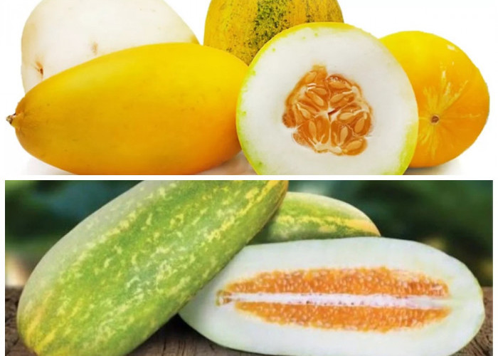 Timun Suri: Buah Segar yang Ternyata Punya Banyak Manfaat untuk Kesehatan