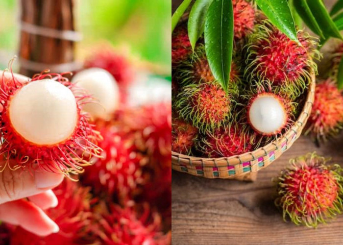 Siapa Saja yang Tidak Boleh Makan Rambutan? Waspadai Efeknya bagi Kesehatan