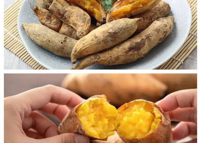 6 Manfaat Ubi Cilembu untuk Kesehatan, dari Melancarkan Pencernaan hingga Menangkal Risiko Kanker