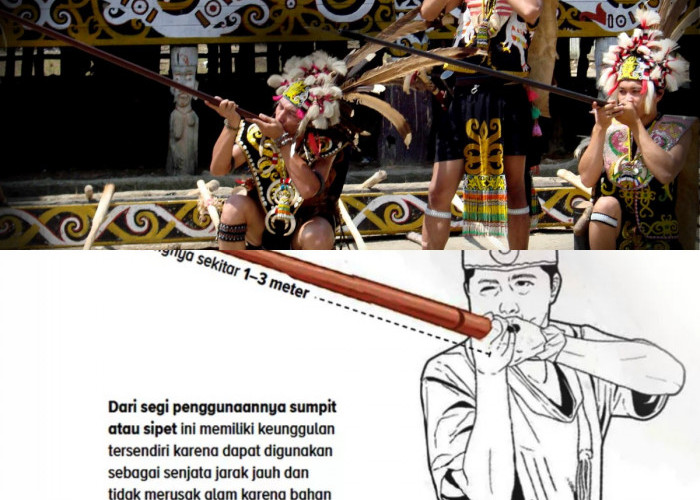 Senjata Canggih Belanda dan Jepang Kalah! Apa yang Membuat Sumpit Suku Dayak Begitu Mematikan?