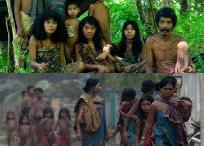 Mengenal Sejarah dan Budaya Suku Kubu di Pedalaman Sumatera 