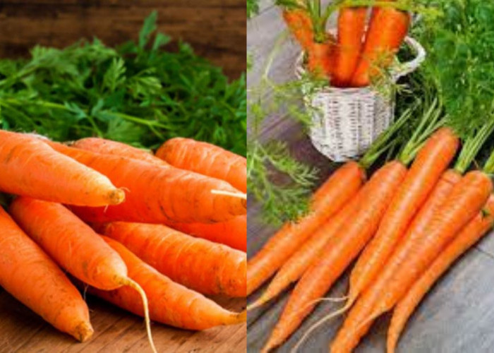 Inilah 8 Manfaat Wortel Untuk Kesehatan Yang Jarang Diketahui