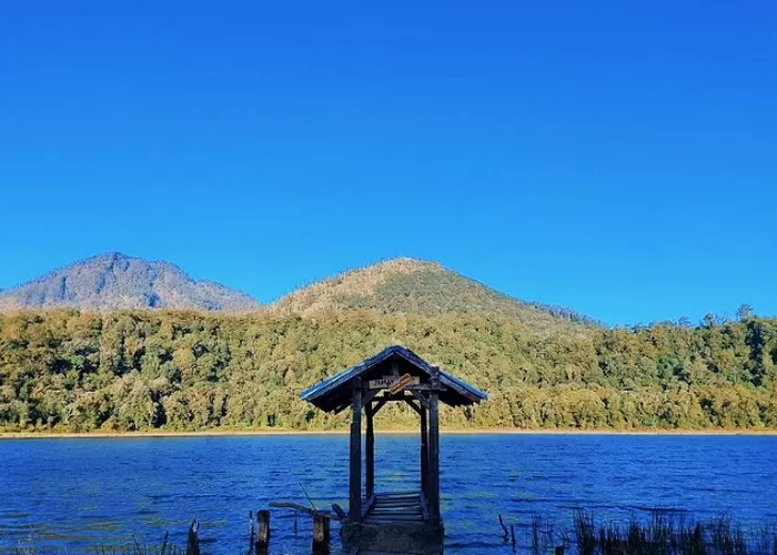 Melihat Lebih Dekat Keindahan dan Misteri Danau Taman Hidup di Kaki Gunung Argopuro Jawa Timur