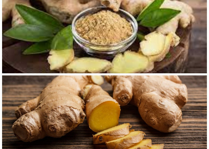 Khasiat Temulawak untuk Kesehatan: Herbal Tradisional Asli Indonesia yang Kaya Manfaat