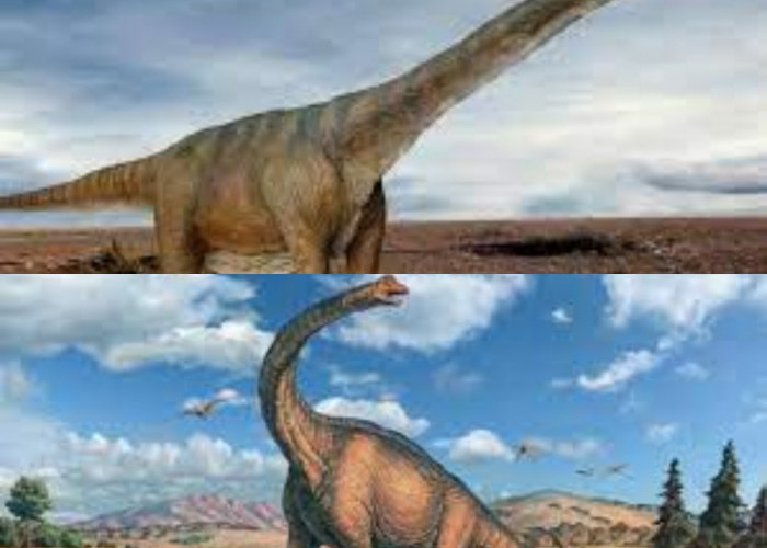 Mengulik Situs Fosil Langka di Argentina Mengungkap Peradaban Dinosaurus Sebelum Punah 