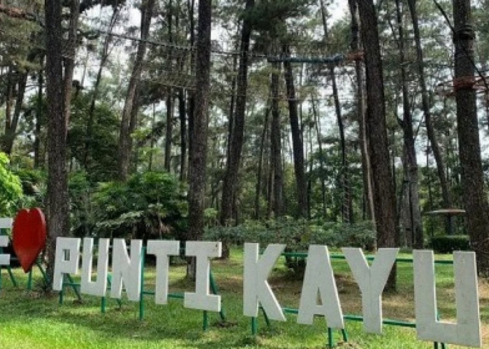 Wajib Banget Kamu Kunjungi, Inilah 5 Daya Tarik Taman Wisata Punti Kayu Palembang 