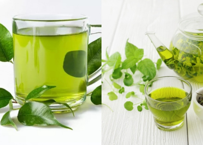 Manfaat Teh Hijau Untuk Kesehatan Yang Harus Kalian Ketahui! 