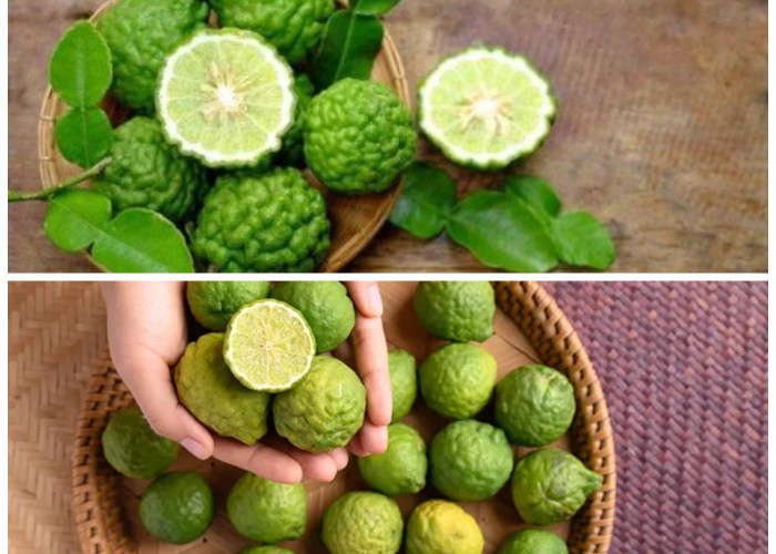 Segudang Manfaat Buah Limus bagi Kesehatan Tubuh: Dari Antioksidan hingga Penurun Berat Badan!