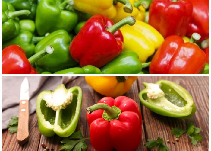 Rahasia Sehat di Balik Paprika, Yuk Kenali Manfaatnya untuk Tubuh!