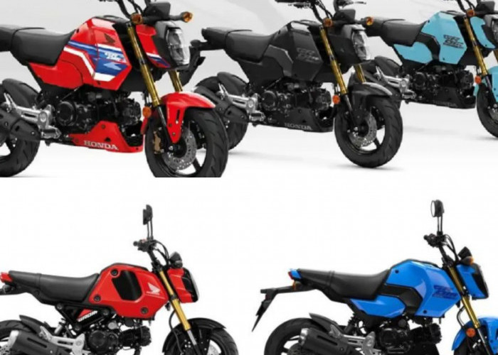 Honda Grom 2026 Hadir Lebih Segar: Tiga Warna Baru, Harga Tetap Bersahabat!