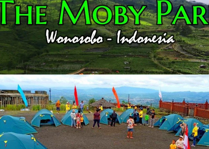 Menelusuri Keajaiban Wisata yang Ditawarkan The Moby Park Wonosobo 