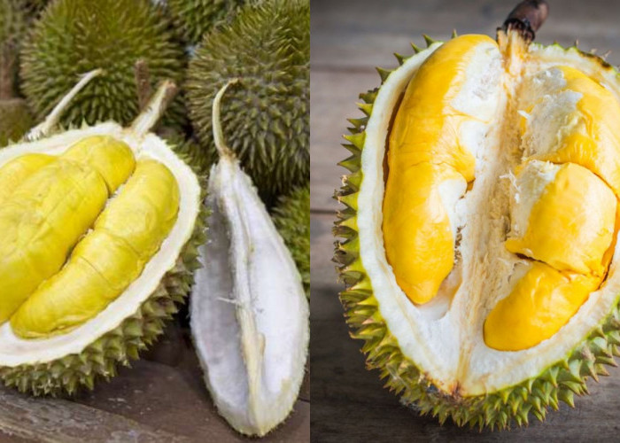 Kolesterol Tinggi karena Durian? Ini Penjelasan Ilmiah yang Perlu Kamu Pahami