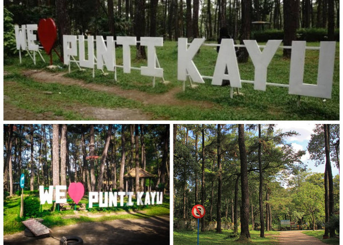 Sejarah Taman Wisata Punti Kayu dan Keberadaan Hantu: Misteri di Balik Keindahan Alam Palembang!