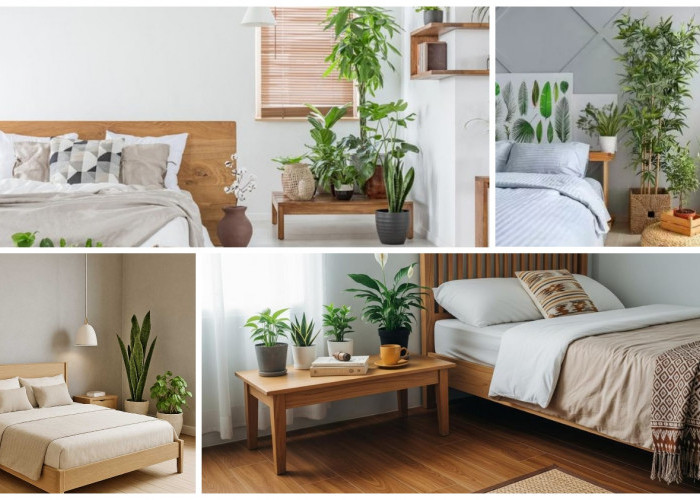 Bikin Kamar Lebih Sehat, Ini 6 Tanaman Terbaik untuk Tidur Nyenyak! 