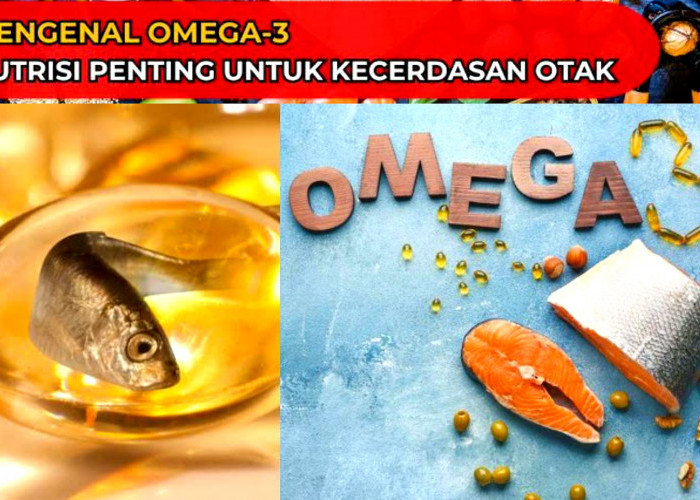 Bukan Sembarang Lemak. Seberapa Penting Omega-3 Bagi Tubuh dan Otak? Ini Penjelasannya