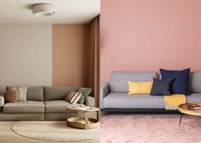 10 Warna Cat Ruang Tamu yang Bikin Ruangan Terasa Lebih Luas dan Berkelas!