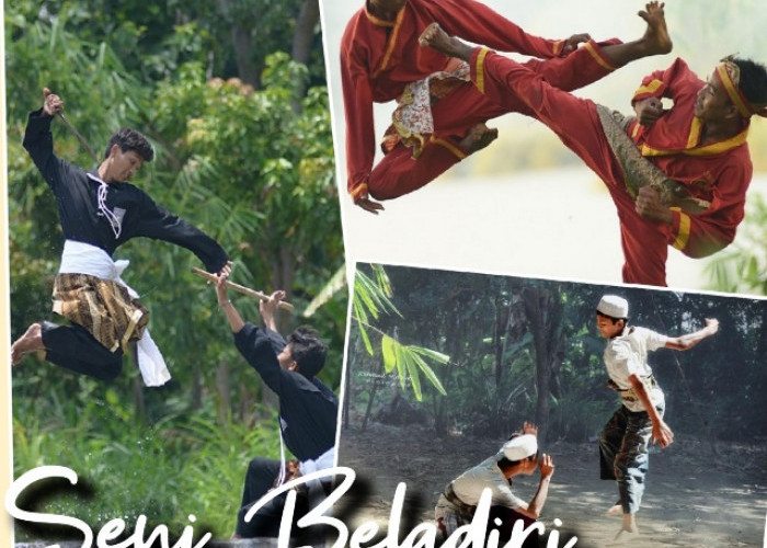 10 Seni Beladiri Khas di Indonesia, Nomor 1 Memiliki Perguruan Terbanyak﻿