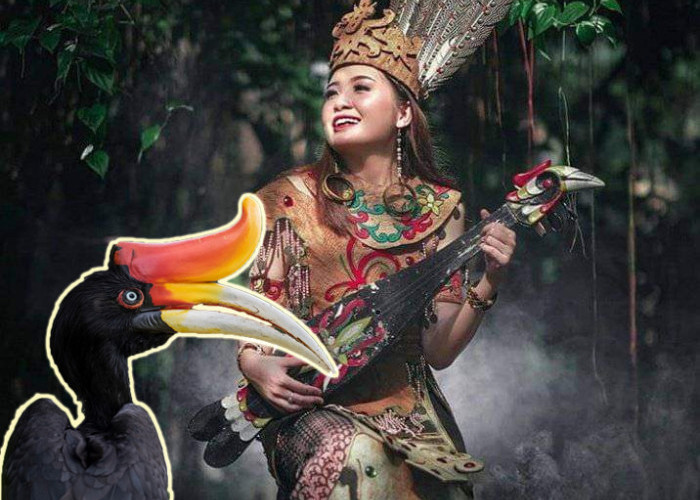 Simbol Kebesaran Alam, Burung Enggang dalam Budaya Suku Dayak di Kalimantan