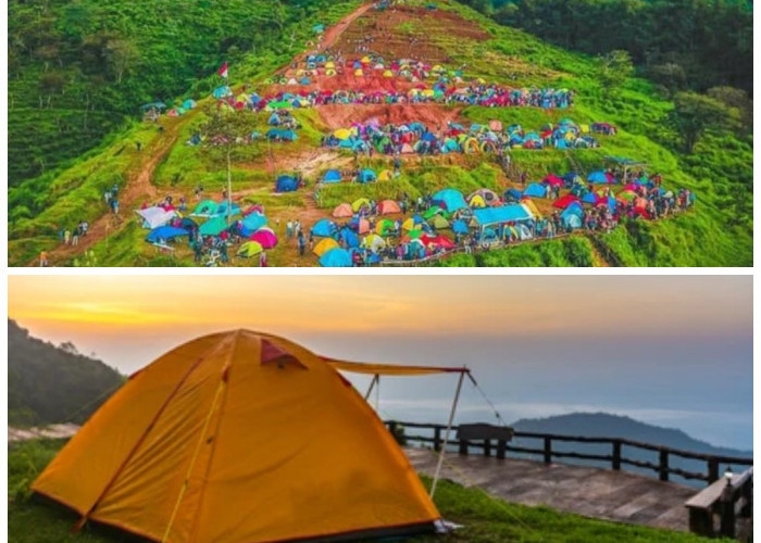 Camping di Bukit Alas Bandawasa Cigombong, Tempat yang Cocok untuk Lihat Negeri Awan dan Golden Sunrise 