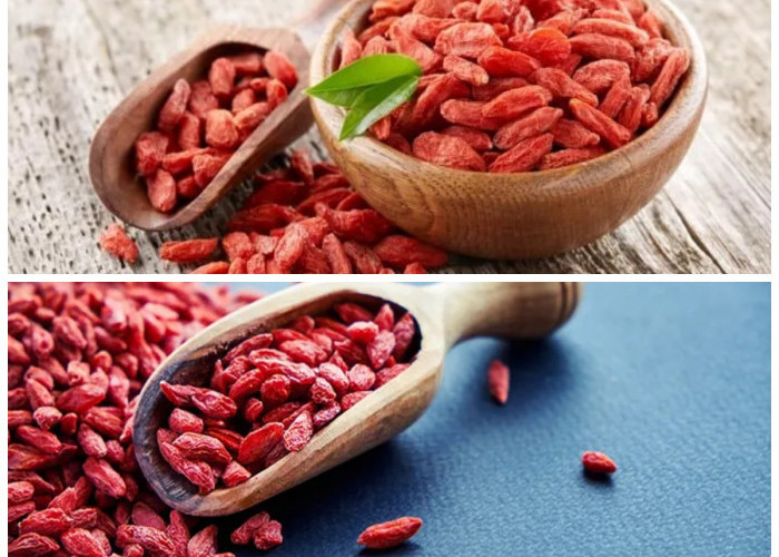 Ingin Tubuh Lebih Sehat? Simak Manfaat Goji Berry untuk Kesehatan Anda!