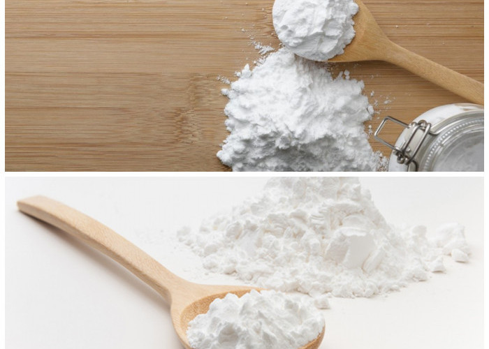 Manfaat Sagu untuk Tubuh: 7 Alasan Mengapa Kamu Harus Mengonsumsinya