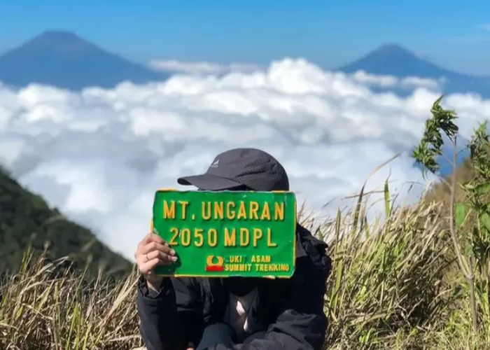 Kenapa Gunung Ungaran Wajib Masuk Daftar Pendakian Anda? Temukan Alasannya!