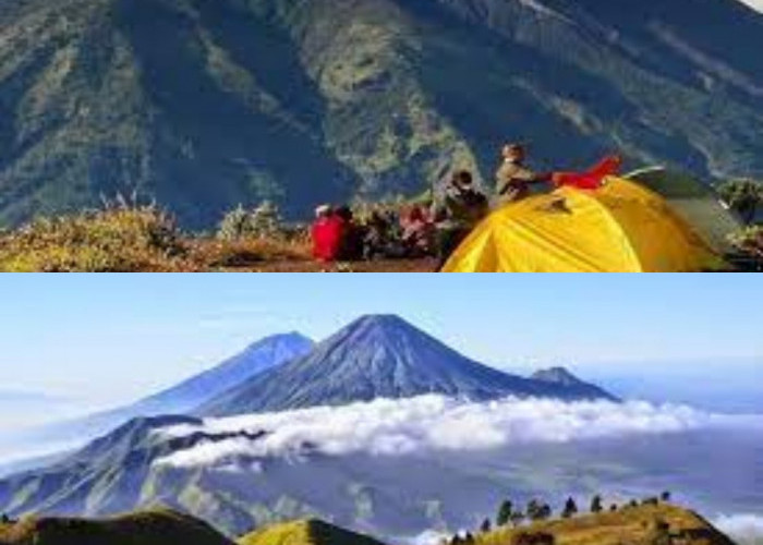 Cocok Banget Buat Kamu yang Mau Solo Hiking di Gunung Prau di Jawa Tengah! Gas Mumpung Libur Imlek 2024  