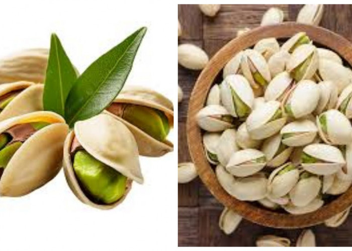 Nikmati Beragam Khasiat Kesehatan dari Kacang Pistachio