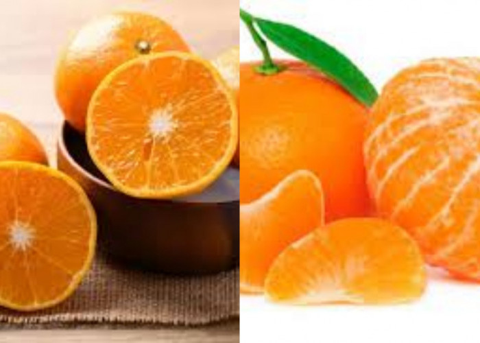 Segudang Manfaat Buah Jeruk Untuk Kesehatan Yang Harus Kalian Ketahui!