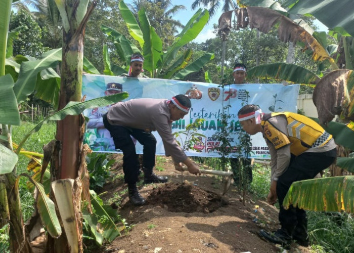 Waw, Polsek PAU Dukung Polri Lestarikan Negeri, Tanam 250 Bibit Pohon di Wilkumnya