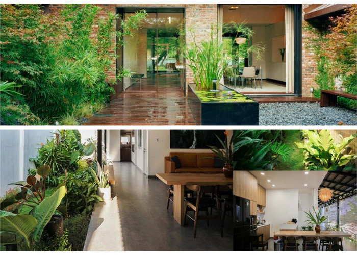 Tanpa Perlu Disiram! Mengenal Tren Living Wall Otomatis, Rahasia Rumah Sejuk Tanpa Ribet